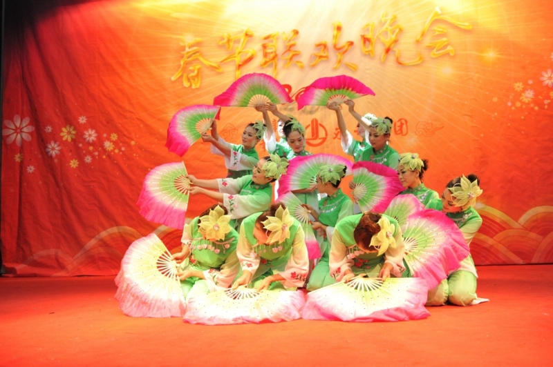 永升集团2013迎春晚会