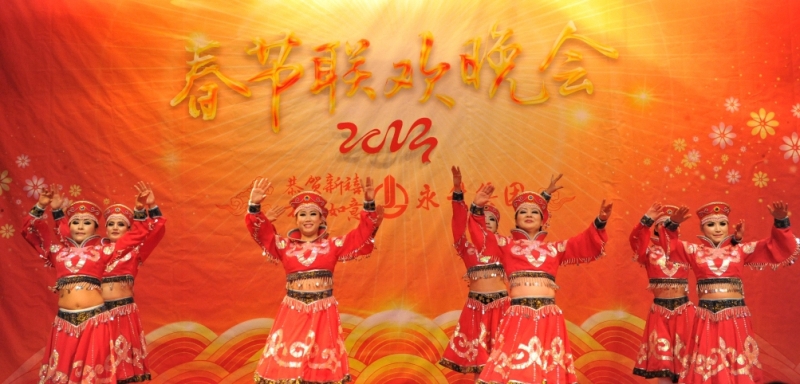 永升集团2013迎春晚会